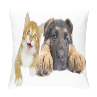 Personality  Puppy And Red Kitten Pillow Covers