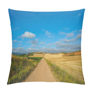 Personality  Picturesque Countryside In Northern Spain, Europe. Famous Camino De Santiago Walking Road Pillow Covers