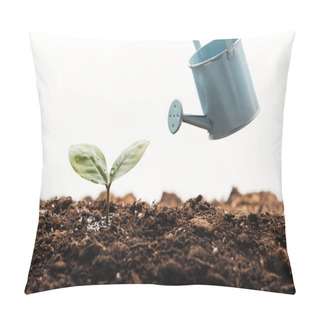 Personality  Toy Watering Can Near Small Plant In Ground Isolated On White Pillow Covers