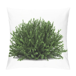 Personality  Coral Beauty Bush Isolated On White Background Pillow Covers