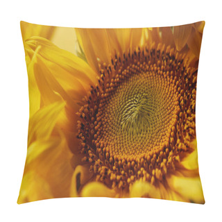 Personality  Beautiful Texture With Yellow Sunflower, Close Up Pillow Covers