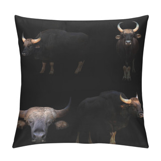 Personality  Gaur Hiding In The Dark Pillow Covers