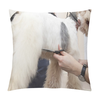 Personality  Fox Terrier Getting His Hair Cut Pillow Covers