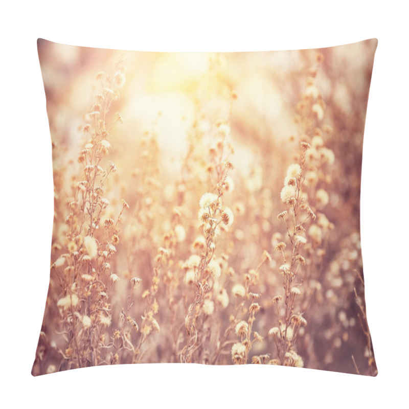 Personality  Beautiful floral field pillow covers