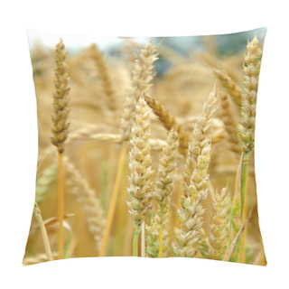 Personality  Wheat Turning Ripe Pillow Covers