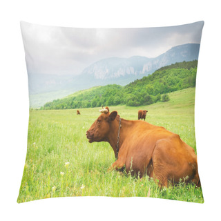 Personality  Cow In Mountain Meadow Meadow. Pillow Covers