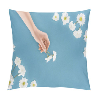 Personality  Cropped Image Of Female Hand With White Chrysanthemum Flowers Isolated On Blue Pillow Covers