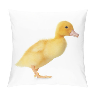 Personality  Cute Fluffy Gosling On White Background. Farm Animal Pillow Covers