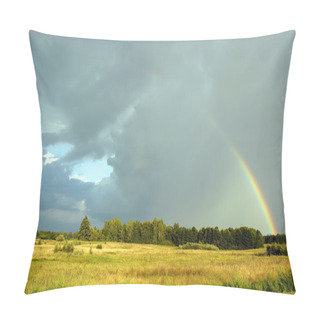 Personality  Rainbow In The Field Pillow Covers