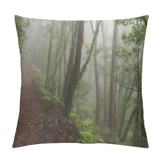 Personality  Canary Islands: La Gomera, Garajonay National Park, Fog Forest Pillow Covers