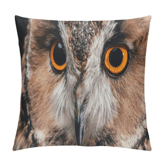Personality  Cute Wild Owl Muzzle Isolated On Black Pillow Covers