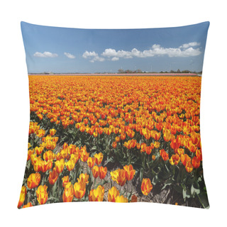 Personality  Field With Tulips In The Netherlands Pillow Covers
