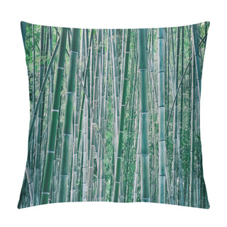 Personality  Dense Plantation Of Fresh Bamboo Stalks Or Culms Pillow Covers