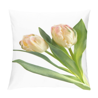 Personality  Soft Colored Tulip Flowers On White Pillow Covers