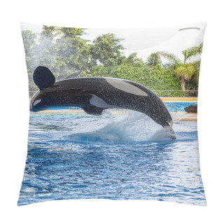 Personality  Killer Whale Pirouette Pillow Covers