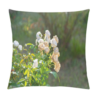 Personality  Rose Flowers. The Rose Is One Of The Most Popular Flowers In The World. Celebrated Over The Centuries, The Rose, Symbol Of Lovers. Fossils Of These Roses Date Back 35 Million Years. Pillow Covers