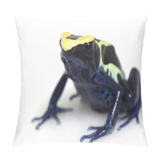 Personality  Cobalt Dyeing Poison Dart Frog Pillow Covers