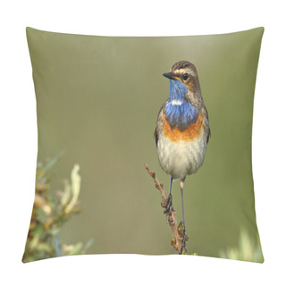 Personality  Bluethroat Bird On A Branch Pillow Covers