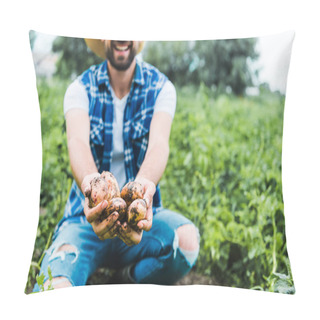 Personality  Cropped Image Of Farmer Showing Ripe Potatoes In Hands In Field  Pillow Covers