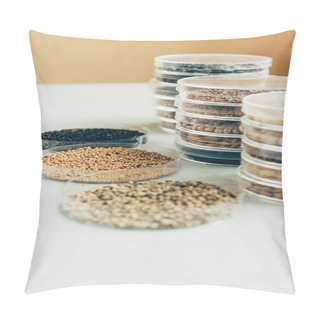 Personality  Close Up View Of Various Seeds In Plastic Containers In Modern Agro Laboratory  Pillow Covers