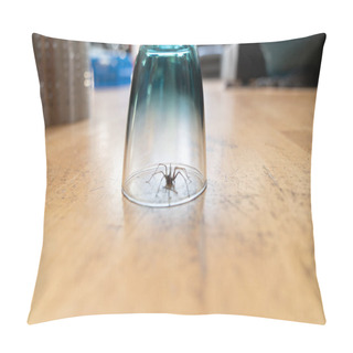 Personality  A Caught Big Dark Common House Spider Under A Drinking Glass On A Smooth Wooden Floor Seen From Ground Level In A Living Room In A Residential Home Pillow Covers