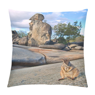 Personality  Rock Wallaby Pillow Covers