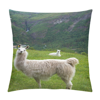 Personality  Llamas In The Mountains. Pillow Covers