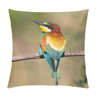 Personality  European Bee-eater, Merops Apiaster. An Early Morning Bird Sits On A Dry Branch. The Bird Is Beautifully Lit By The Morning Sun Pillow Covers
