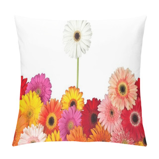 Personality  Collection Of Daisy Flowers Pillow Covers