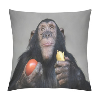 Personality  Closeup Of Chimpanzee Monkey Portrait At Wildlife Pillow Covers