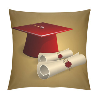 Personality  Graduation Cap And Diplomas Pillow Covers