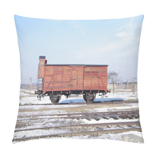 Personality  Picture From Auschwitz Wagon Pillow Covers