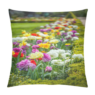 Personality  Close Up View Of Beautiful Colorful Ranunculus Flowers In Park Pillow Covers