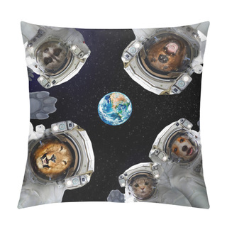 Personality  Animals In Space Suits In Space On The Background Of The Planet Earth. Elements Of This Image Furnished By NASA. Pillow Covers