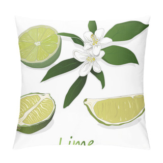 Personality  Juicy Lime On White Background. Pillow Covers