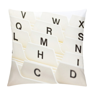 Personality  Flashcards Register Pillow Covers