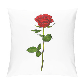 Personality  Deep Red, Ruby Rose With Green Leaves, Isolated Vector Illustration Pillow Covers