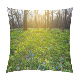 Personality  Beautiful Spring Forest Glade With Flowers Pillow Covers