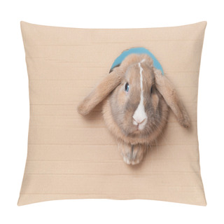 Personality  Little Bunny In The Hole Pillow Covers
