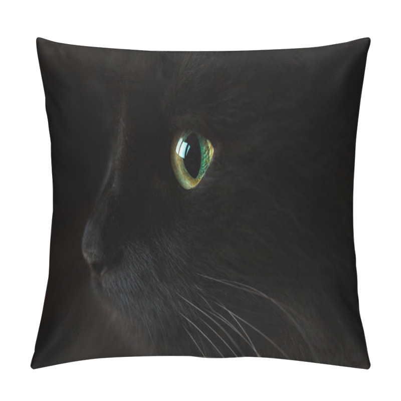 Personality  Cute muzzle of a black cat pillow covers