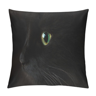 Personality  Cute Muzzle Of A Black Cat Pillow Covers