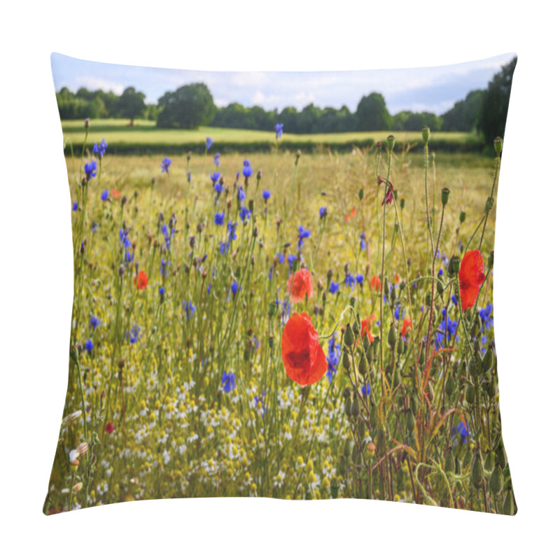 Personality  Poppies In A Field Of Wildflowers Near West Wickham In Kent, UK. Pretty Scene In The English Countryside With Poppies, Cornflowers And Daisies. Colorful View Of Nature And The Environment Near London. Pillow Covers