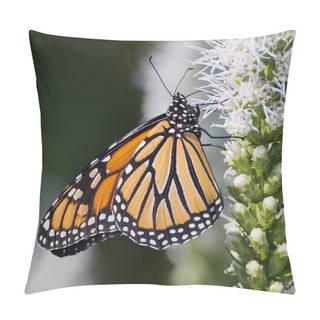 Personality  Monarch Butterfly Feeding On White Liatris Flowers Pillow Covers