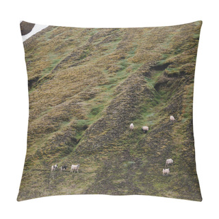 Personality  Sheep Pillow Covers