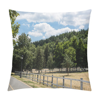 Personality   Path With Yellow Line Near Fence And Trees With Green Fresh Leaves  Pillow Covers