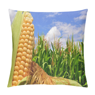 Personality  Ear Of Corn Against A Field Under Clouds Pillow Covers