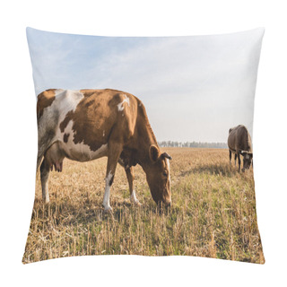 Personality  Bulls Standing On Field And Eating Grass Against Cloudy Sky  Pillow Covers