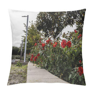 Personality  Garden With Roses In An Urban Park Pillow Covers