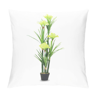 Personality  Big Dracaena Palm In A Pot Isolated Over White Pillow Covers