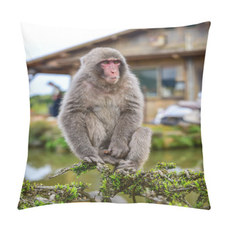 Personality  Macaca Fuscata Sitting On A Branch Pillow Covers